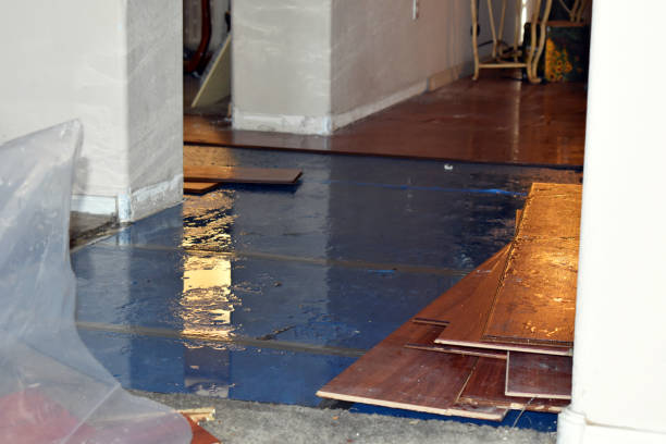Professional Water Damage Restoration technician working in Highland, AR